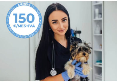 Precio de Limpieza de Clínica Veterinaria en Sevilla (Ejemplo)